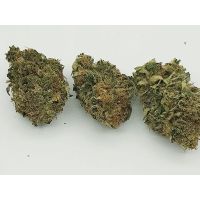 Top 44 CBD 23% (legales Cannabis) 3gr
