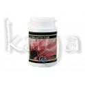 GIB CO2 Tabs Extraslow 60pces
